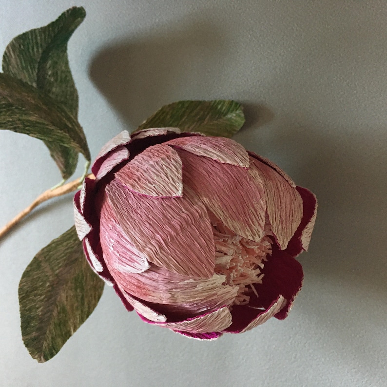 Crepe Paper Protea Handmade Flower Tutorial Templates - Etsy UK