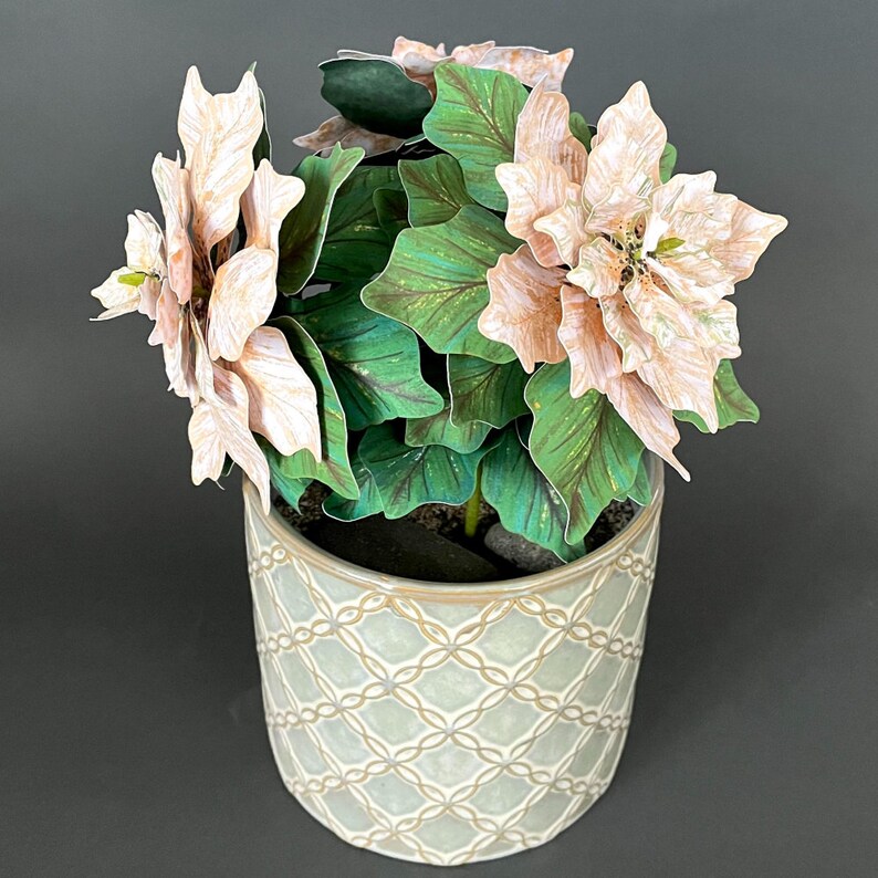 White Paper Poinsettia Plant Printable Templates and Tutorial, Cricut Poinsettia Files - Etsy