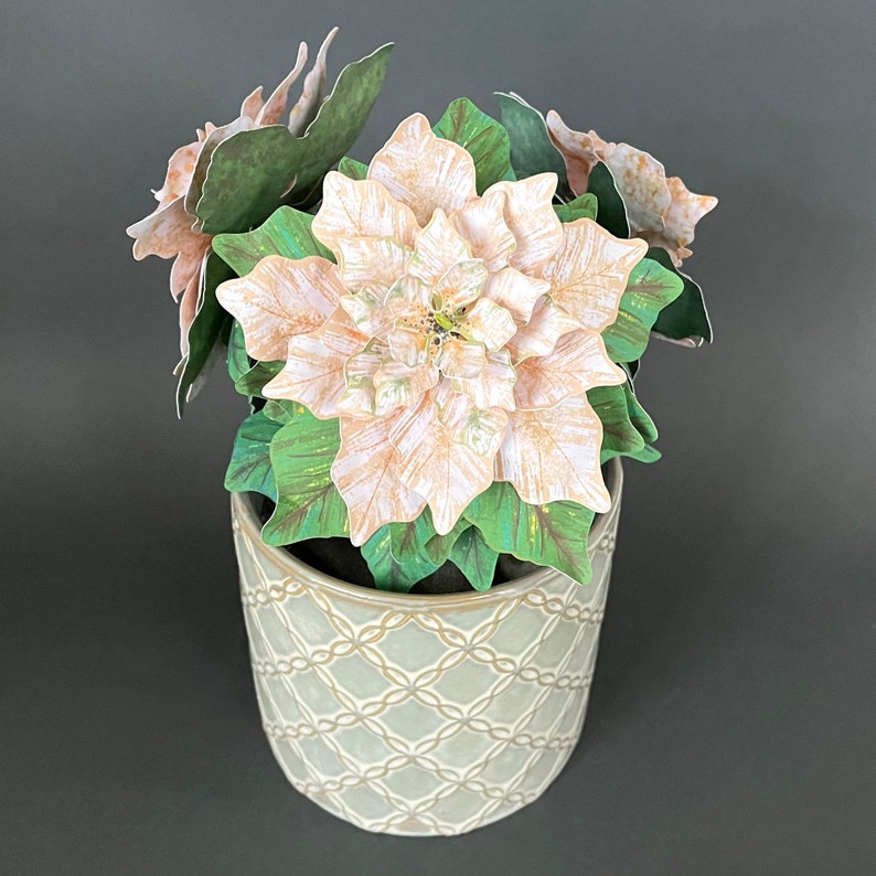 White Paper Poinsettia Plant Printable Templates and Tutorial, Cricut Poinsettia Files (Instant ...
