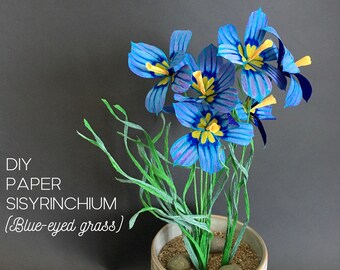 Peut inclure: Une fleur en papier Sisyrinchium, aussi appelée bermudienne, avec des pétales bleu vif, des centres jaunes, des tiges et feuilles vertes, dans un pot beige texturé avec des cailloux. Le texte indique : DIY PAPER SISYRINCHIUM (Blue-eyed grass).