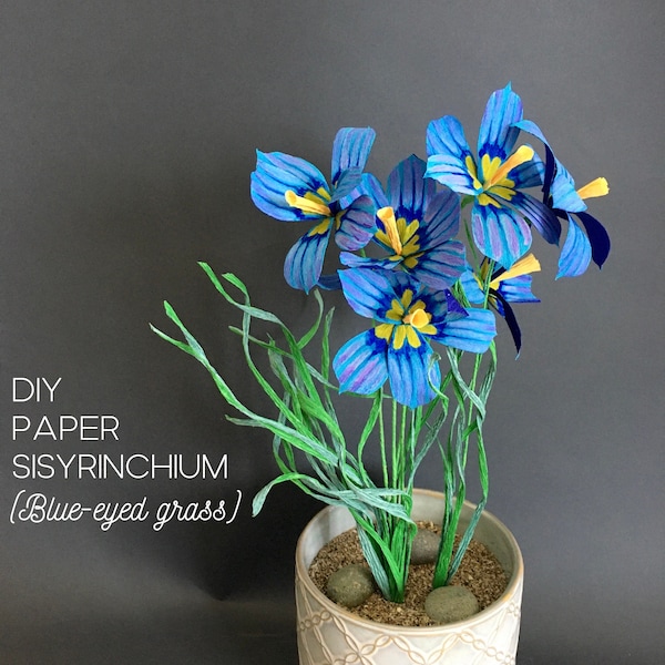 Crepe paper Blue wildflower - step by step tutorial + templates