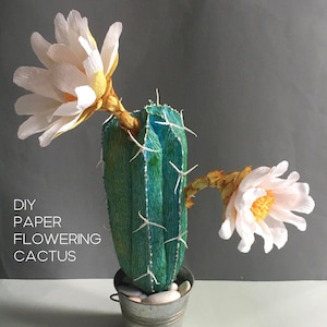 Tutorial cactus fiorito in carta crespa, progetto fai da te per amanti dei cactus, idea regalo per la casa