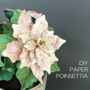 Tutorial e modelli stampabili per piante di Poinsettia in white paper, file Cricut Poinsettia