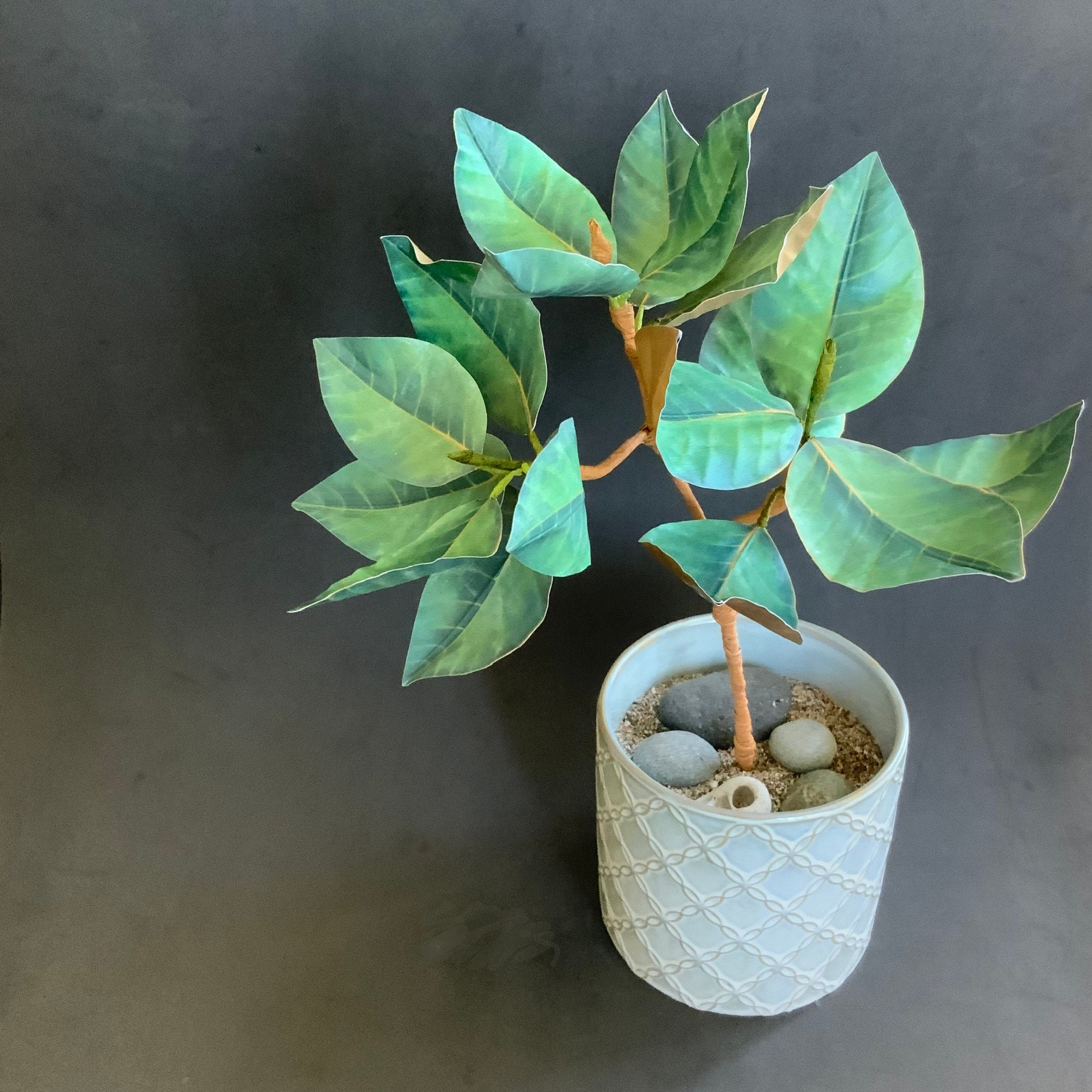 Paper Magnolia Printable Template DIY Magnolia Tree Kit - Etsy