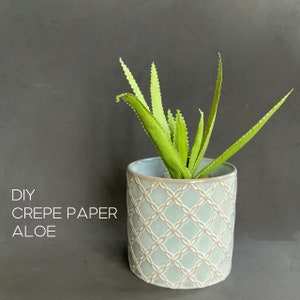 Pianta di aloe baby in carta crespata: modelli e tutorial passo passo, idea di decorazione della casa dei viaggiatori