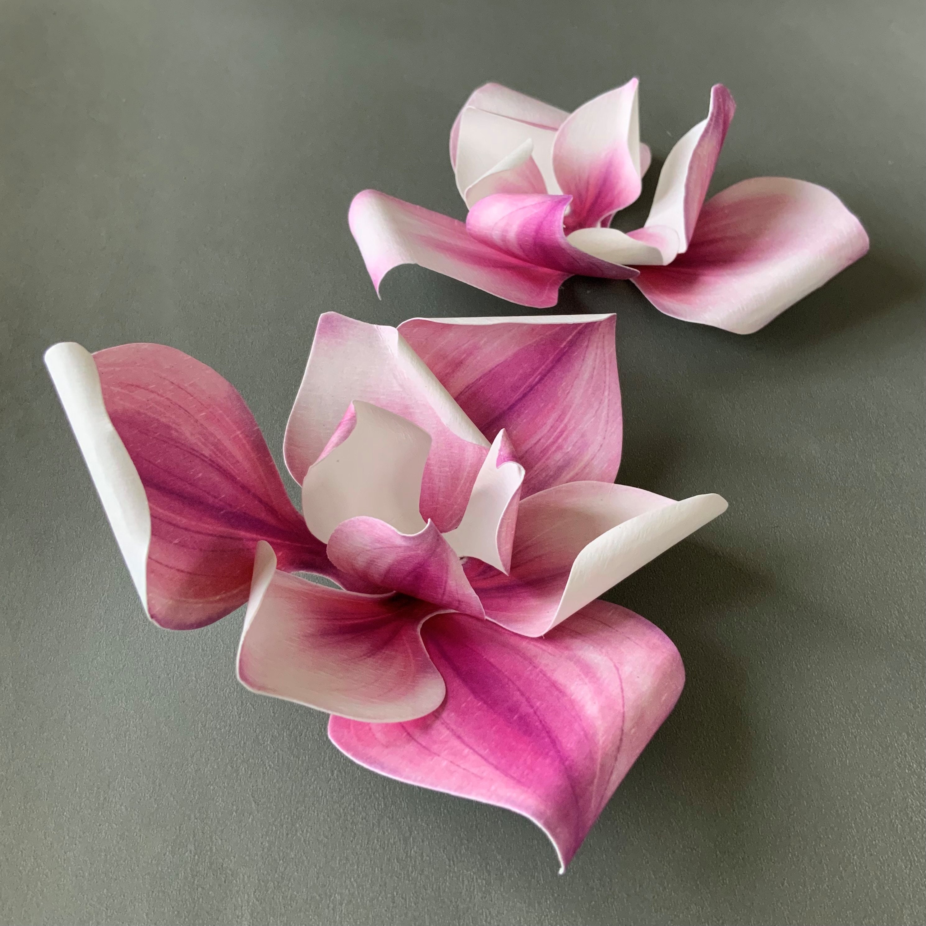 Paper Magnolia Printable Template DIY Magnolia Tree Kit - Etsy