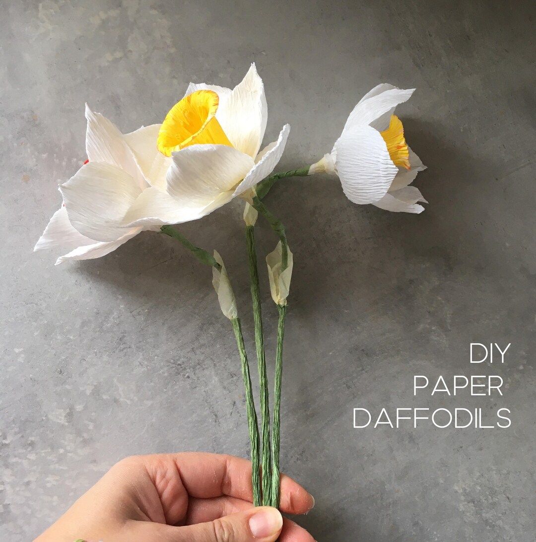 Can't Kill Daffodil DIY Crepe Paper Flower Tutorial for Etsy