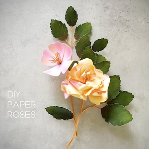 Paper Wild Rose - templates + instructions + SVG and PNG files for Cricut