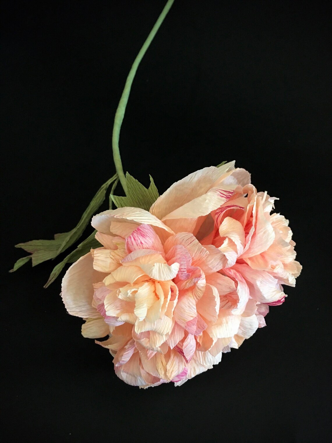 Crepe paper Peony printable tutorial Home decoration project Etsy