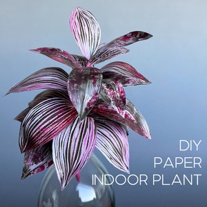 Paper houseplant printable templates and instructions, Cute gift for plant killer friend, Traveler's home decoration