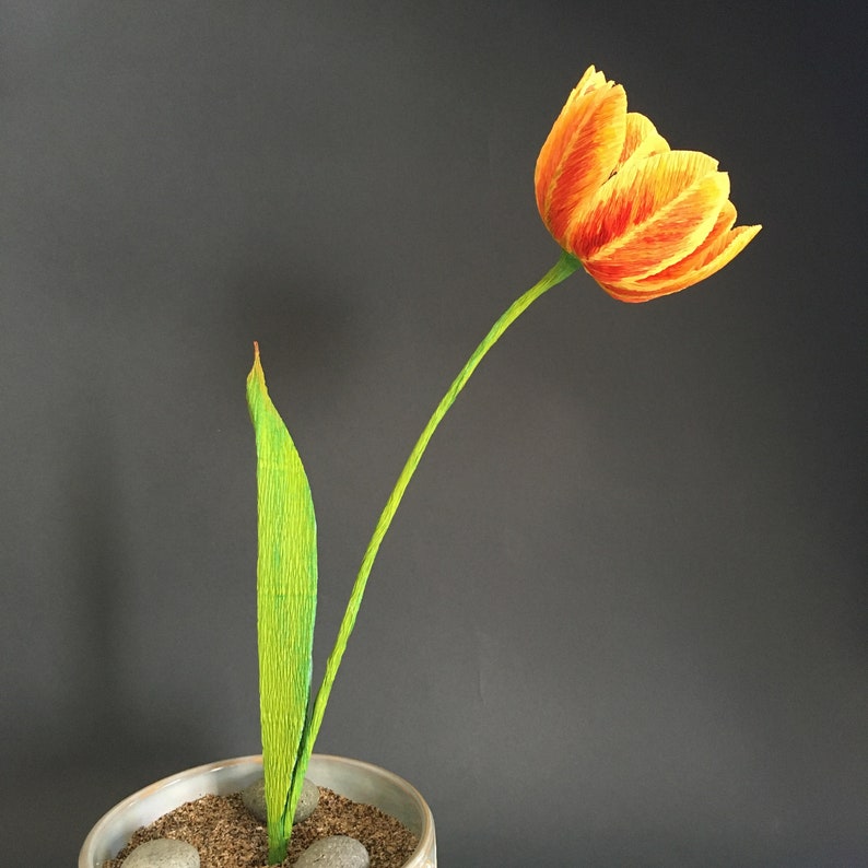 Crepe Paper Tulip Tutorial and Printable Templates Etsy Denmark