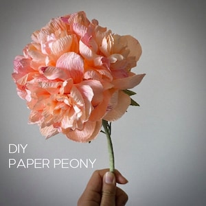 Tutorial peonia in carta crespa, fornitura di progetti di decorazione domestica