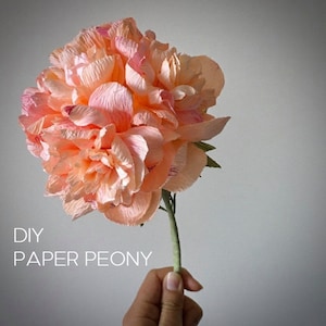 Crepe paper Peony tutorial, Home decoration project supply