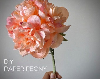 Crepe paper Peony tutorial, Home decoration project supply