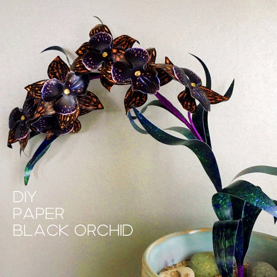 Black Orchid templates and tutorial, Digital flower craft kit, Paper flower DIY