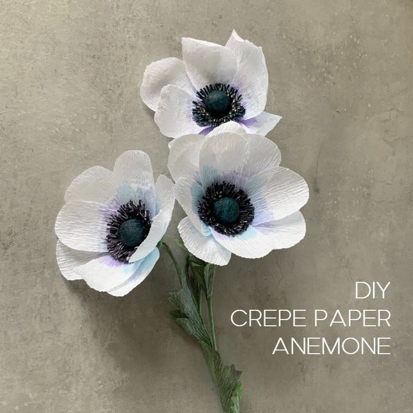 Handmade Anemone crepe paper flower for absolute beginners - tutorial + templates, DIY paper craft home decoration gift idea