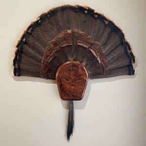 Turkey Tail Fan Mount, Turkey Tail Mount, Turkey Fan Mount, Wood Turkey Tail Fan Mount, Turkey Plaque