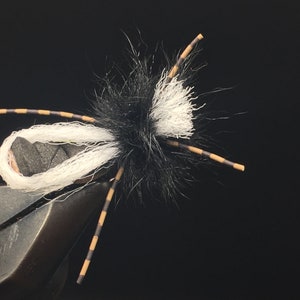 May include: Close-up of a handmade fly fishing lure. The fly features a black and white body with brown and black striped legs. The lure is held in a metal clamp against a black background.