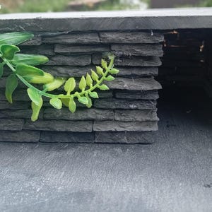 Litet dekorativt reptilskinn i solgrottsklädsel i naturlig skiffer, ormgecko, skäggagam, kunglig pytonorm med växtdetaljer