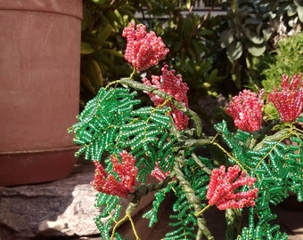 Albizia Tree in Glass Beads