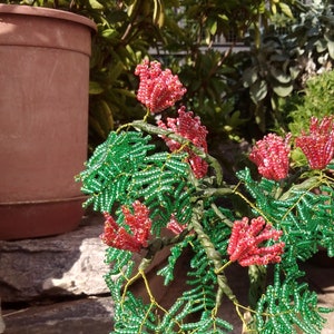 Albizia Tree in Glass Beads