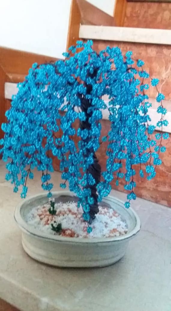 where to buy bonsai trees Bonsai Tree Bundle main image 0