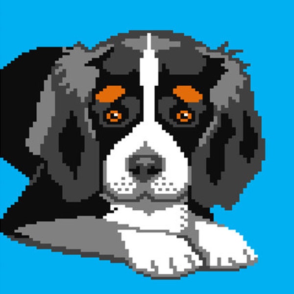 King Charles Knitting Patterns Etsy