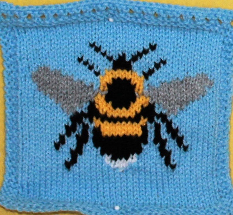 Knitting Pattern PDF Download - Garden Bugs Intarsia Charts - Etsy