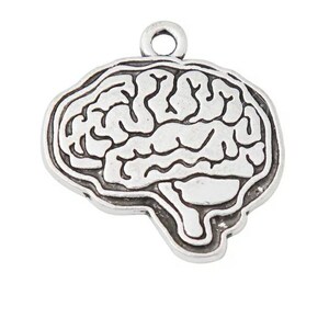 May include: Silver-toned metal charm shaped like a human brain. The charm has a detailed outline of the brain's folds and features a loop at the top for attaching to a necklace or bracelet.