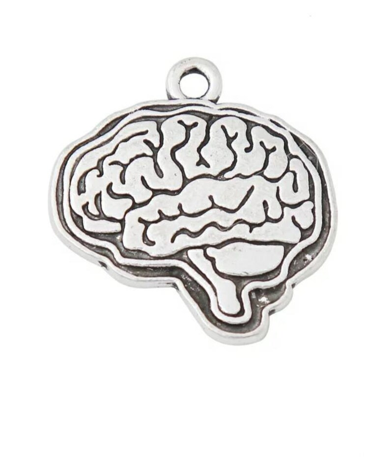 May include: Silver-toned metal charm shaped like a human brain. The charm has a detailed outline of the brain's folds and features a loop at the top for attaching to a necklace or bracelet.