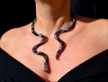 Snake Necklace Choker Serpent Necklace Animal Necklace Nature necklace Snake Animal Nature Jewelry Trending now Gift for Her Nature Lover product logo