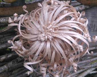 Wooden Flower made from Hazel