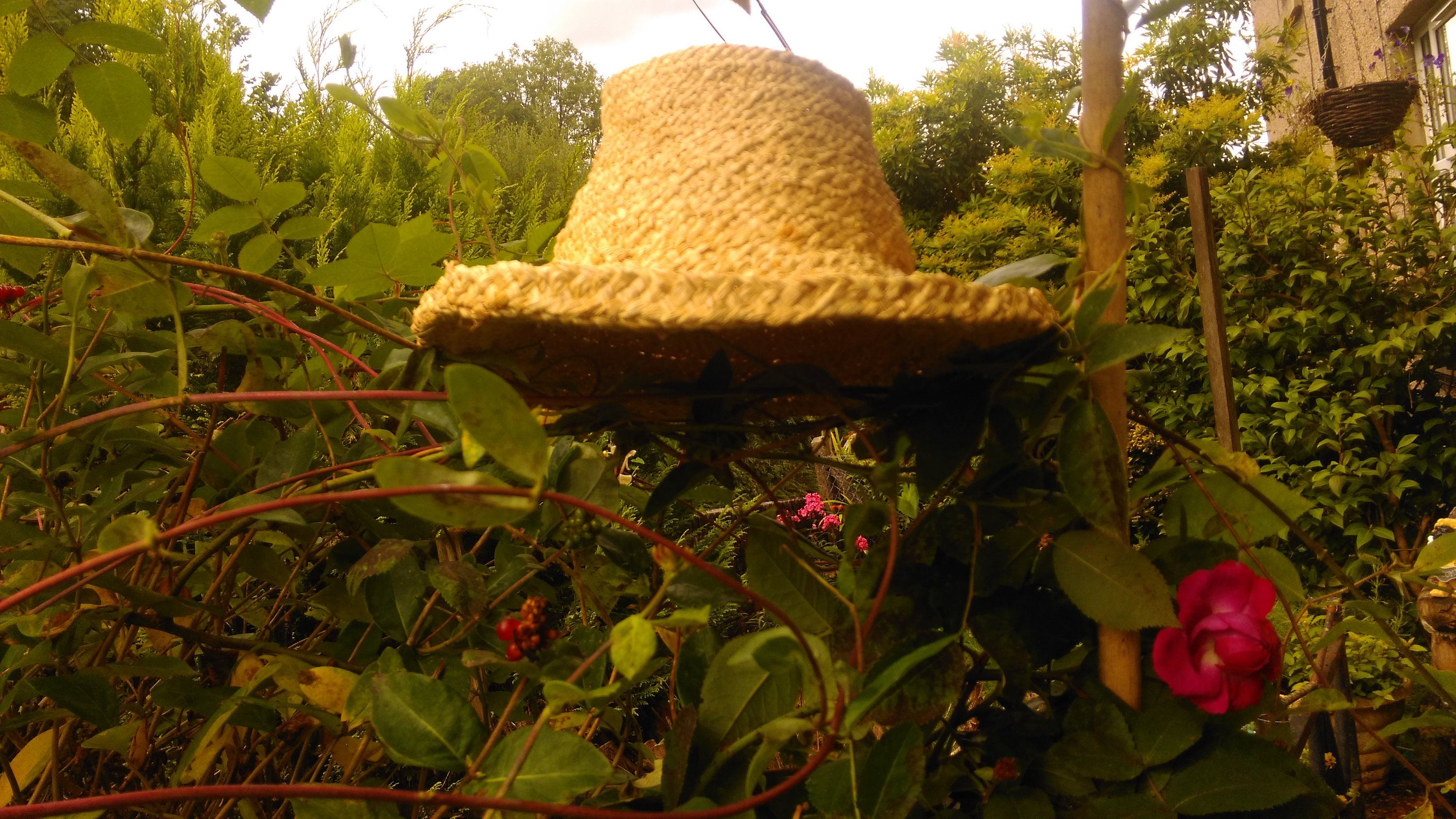 Straw Garden Hat Men 