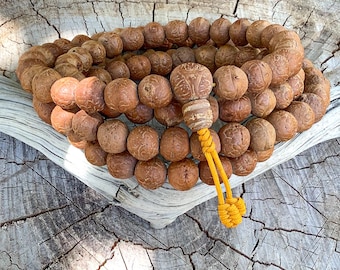 May include: A strand of brown prayer beads with a decorative bead and yellow tassel. The beads are resting on a weathered wooden surface, with a clear crystal nearby. The background includes a tree trunk and dry leaves.