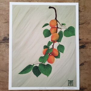 Apricot Portrait | Fine Art Print, Giclée,  Botanical, Oil Painting, Vintage, Fruit Art
