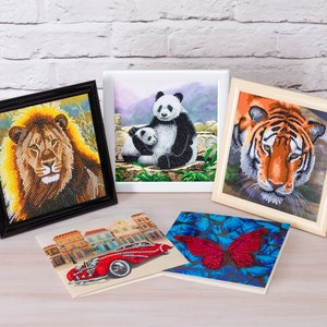 Covermider / Magnets for Diamond Painting 