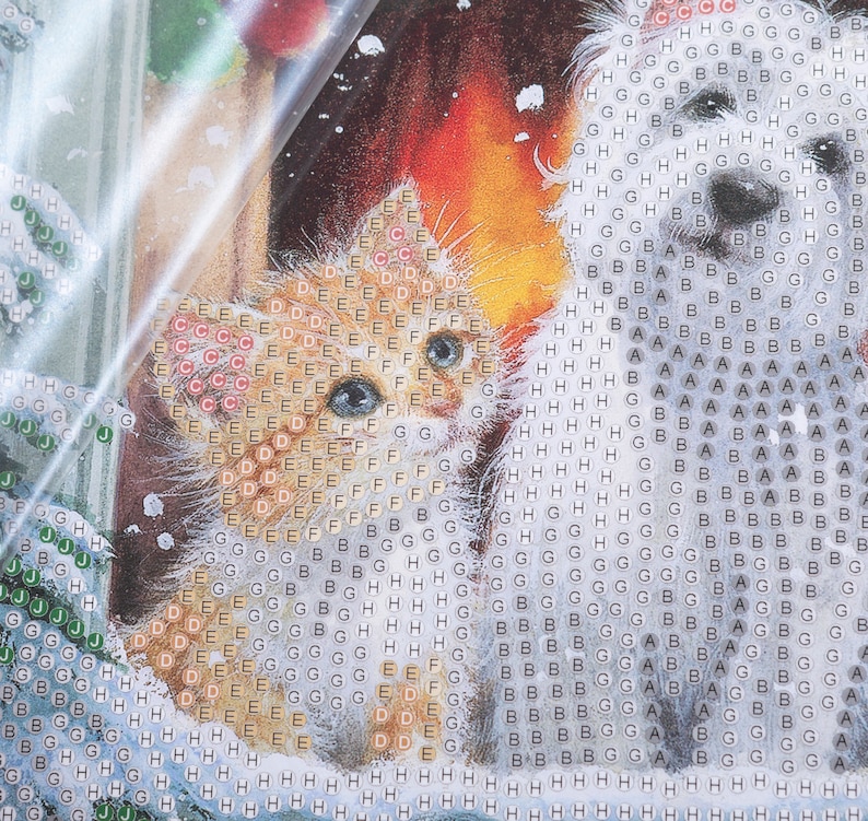 Puede incluir: Un kit de pintura de diamantes con un gatito y un perro. El gatito tiene pelaje naranja y ojos azules, mientras que el perro es blanco. El fondo tiene una paleta de colores c&aacute;lidos con tonos rojos y naranjas. La imagen est&aacute; cubierta con una l&aacute;mina de pl&aacute;stico protectora.
