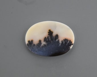 Dendritic Agate Cabochon