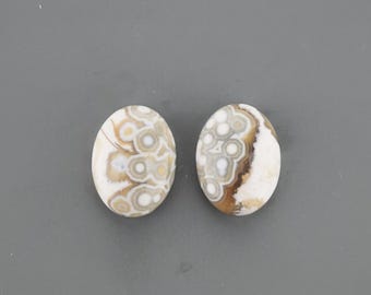 Ocean Jasper Cabochon Pair