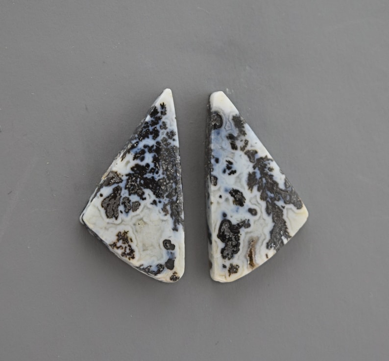 Black Feather Plume Agate Cabochon Pair