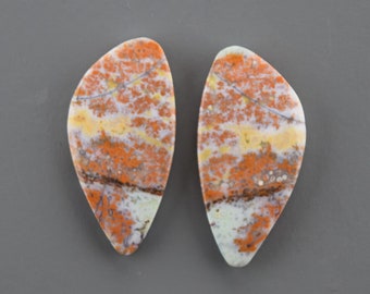 Opal Cabochon Pair