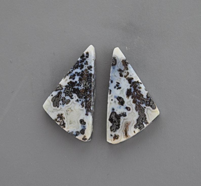 Black Feather Plume Agate Cabochon Pair