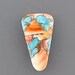Turquoise and Orange Spiney Oyster Cabochon