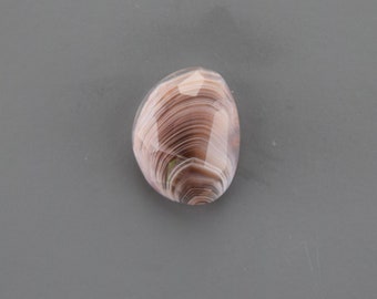 Faceted Botswana Agate Cabochon