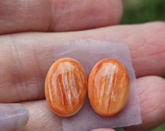 Spiny Oyster Cabochon Pair