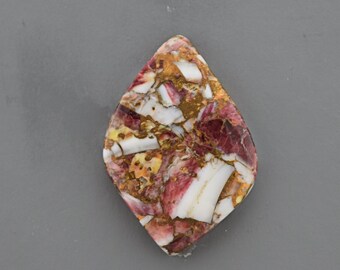 Red Spiny Oyster Cabochon