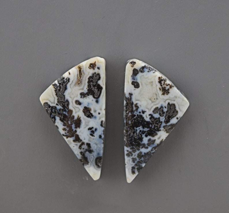Black Feather Plume Agate Cabochon Pair