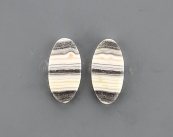 Argonite Cabochon Pair