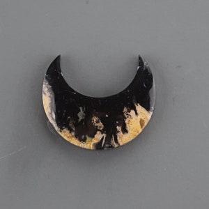 Moon Indonesian Palm Root Cabochon