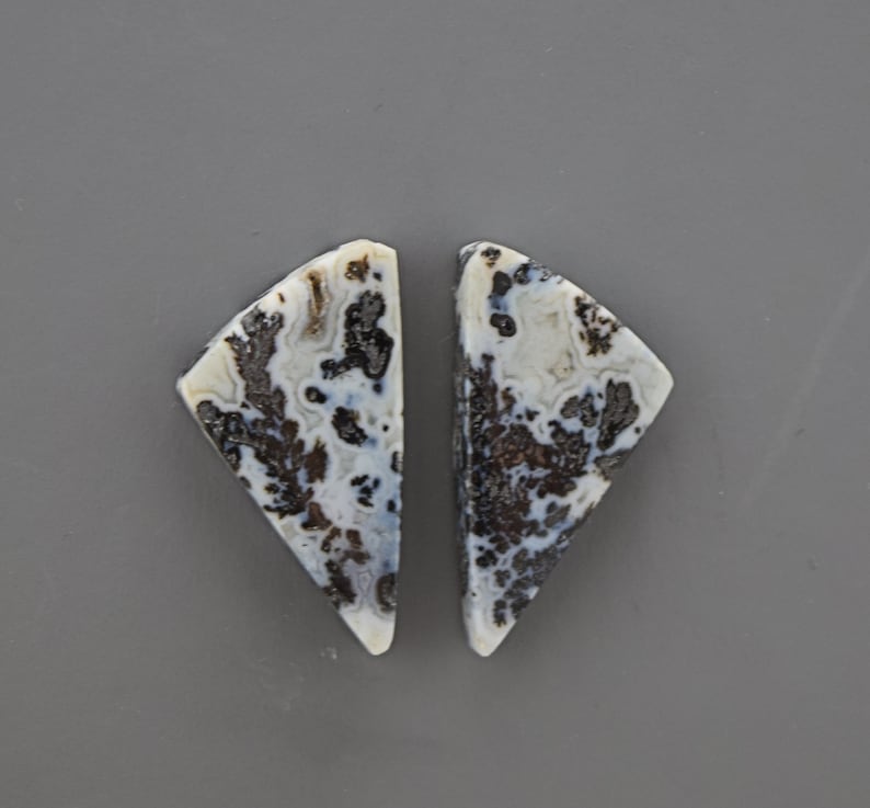 Black Feather Plume Agate Cabochon Pair